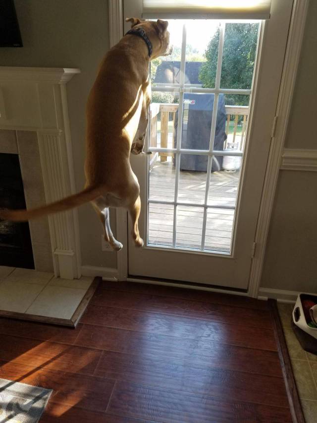 daily picdump 85 pics 7.html - 85 HD Photos | Premium Gallery 2017