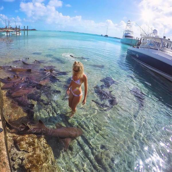 morning picdump 55 pics 23.html - 55 HD Photos | Premium Gallery 2017