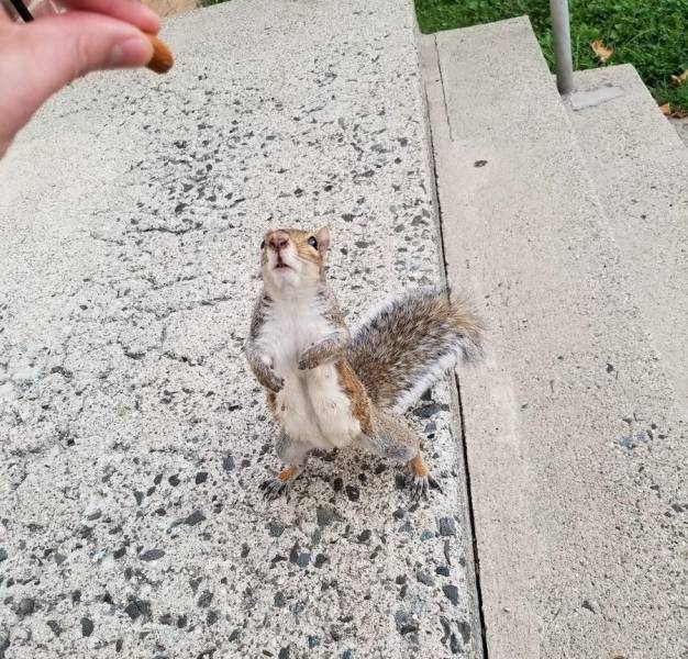 morning picdump 55 pics 23.html - 55 HD Photos | Premium Gallery 2017