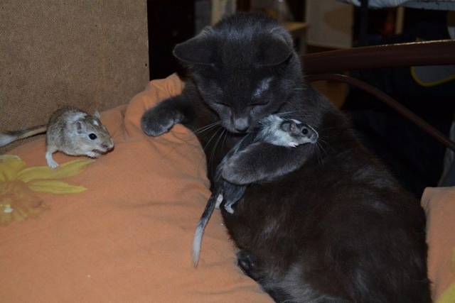 morning picdump 55 pics 23.html - 55 HD Photos | Premium Gallery 2017