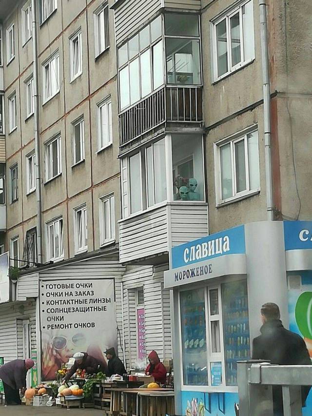 morning picdump 55 pics 23.html - 55 HD Photos | Premium Gallery 2017