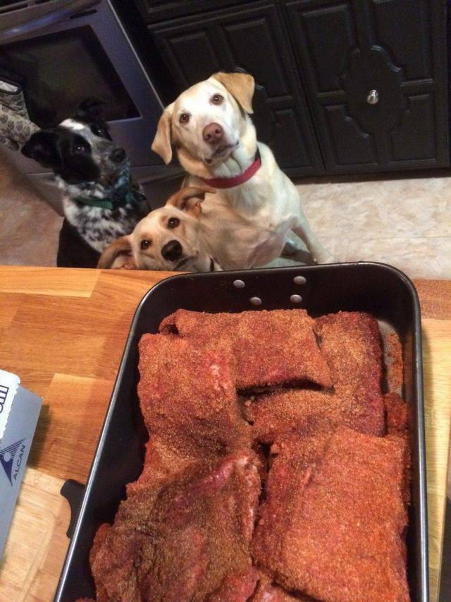 morning picdump 55 pics 23.html - 55 HD Photos | Premium Gallery 2017