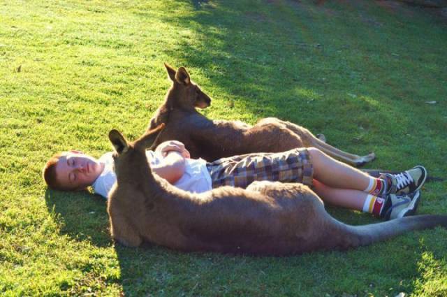 daily picdump 87 pics 42.html - 87 HD Photos | Premium Gallery 2017