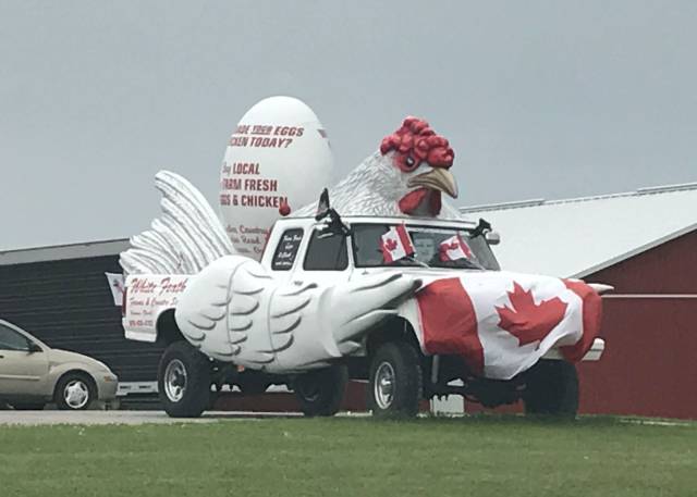 morning picdump 55 pics 3.html - 55 HD Photos | Premium Gallery 2017