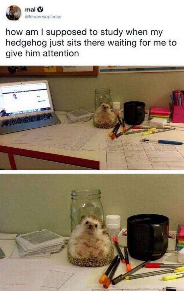 morning picdump 55 pics 3.html - 55 HD Photos | Premium Gallery 2017