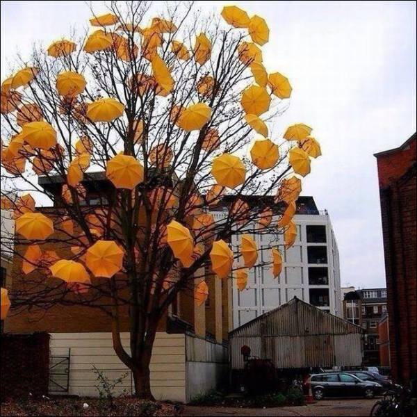 morning picdump 56 pics 15.html - 56 HD Photos | Premium Gallery 2017