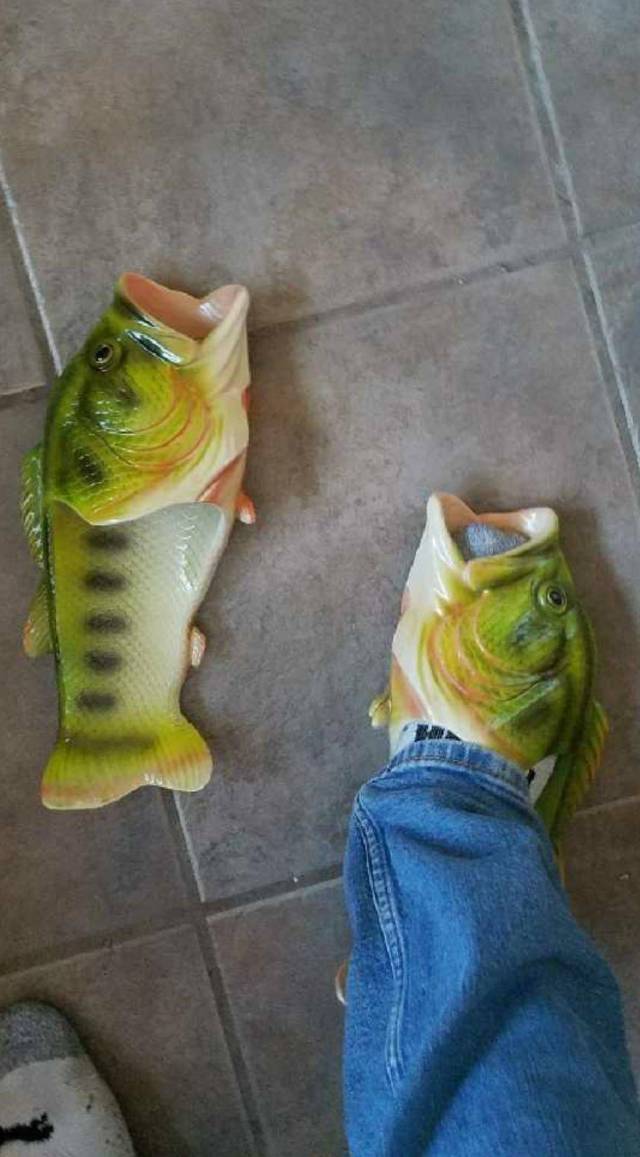 Morning Picdump