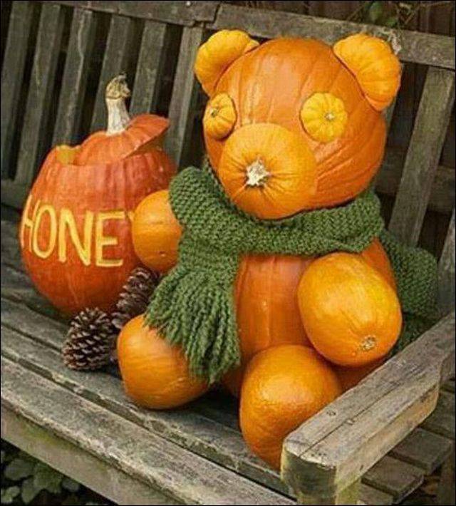Morning Picdump