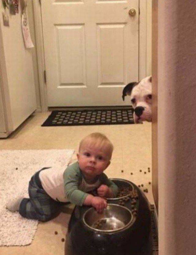 Morning Picdump