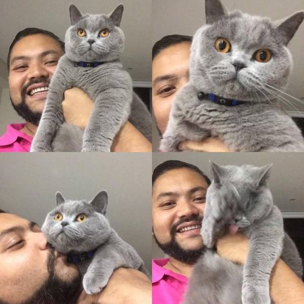 daily picdump 88 pics 2.html - 88 HD Photos | Premium Gallery 2017