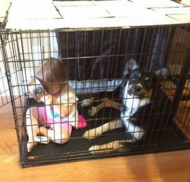 daily picdump 88 pics 2.html - 88 HD Photos | Premium Gallery 2017