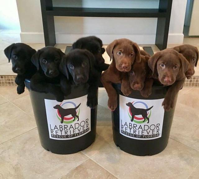 daily picdump 88 pics 2.html - 88 HD Photos | Premium Gallery 2017