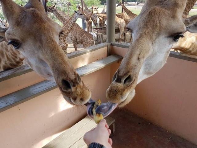 daily picdump 88 pics 2.html - 88 HD Photos | Premium Gallery 2017