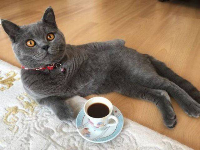 Daily Picdump [WEEKEND EDITION]