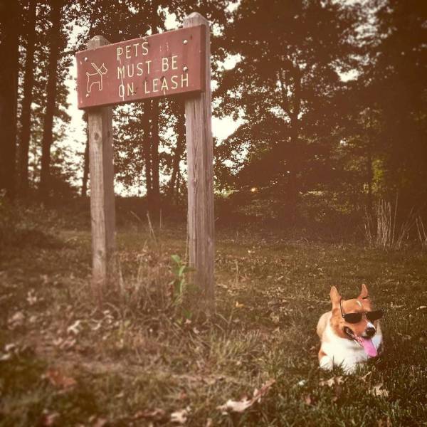 Daily Picdump [WEEKEND EDITION]