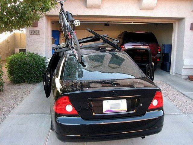 Daily Picdump [WEEKEND EDITION]