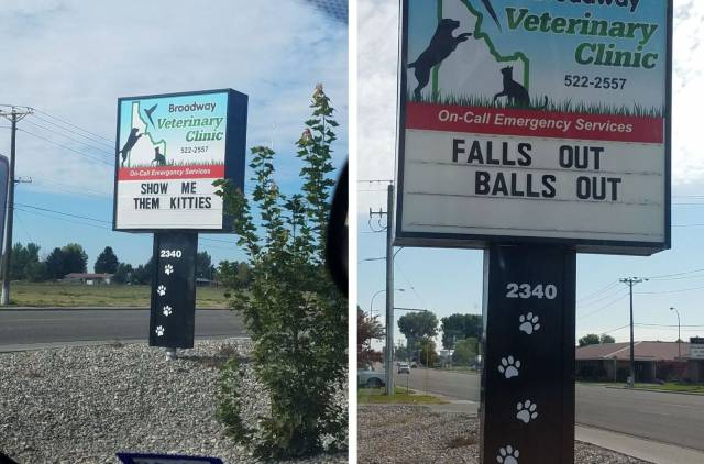 daily picdump weekend edition 68 pics 15.html - 68 HD Photos | Premium Gallery 2017