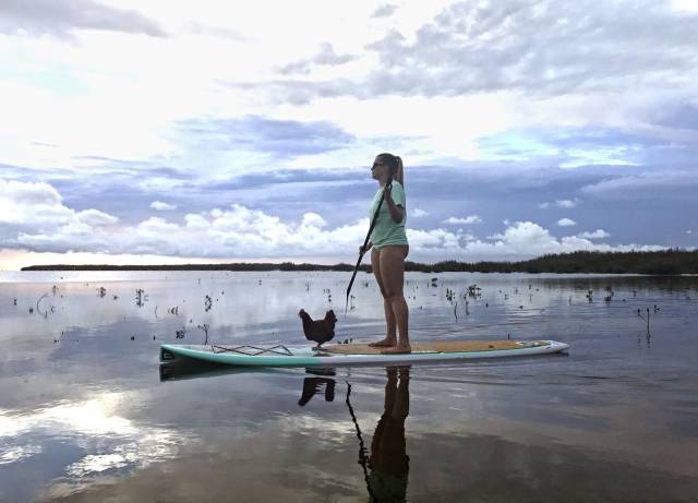 daily picdump 88 pics 12.html - 88 HD Photos | Premium Gallery 2017