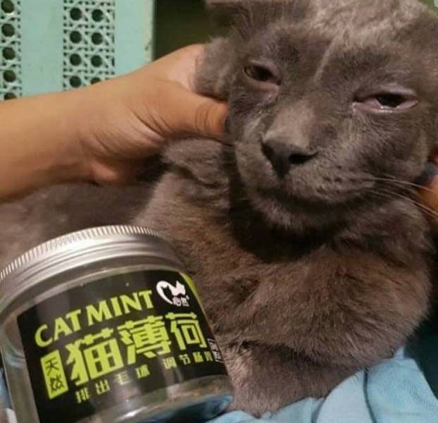 daily picdump 88 pics 12.html - 88 HD Photos | Premium Gallery 2017