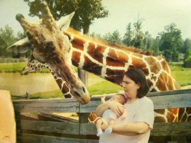 daily picdump 88 pics 12.html - 88 HD Photos | Premium Gallery 2017