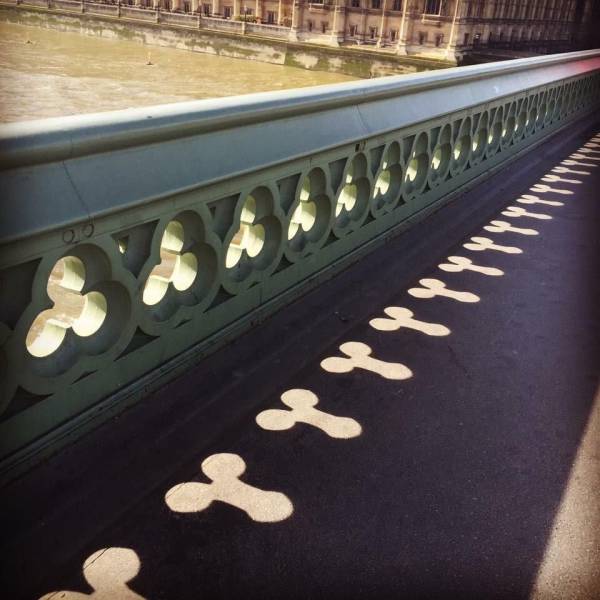 daily picdump 88 pics 12.html - 88 HD Photos | Premium Gallery 2017