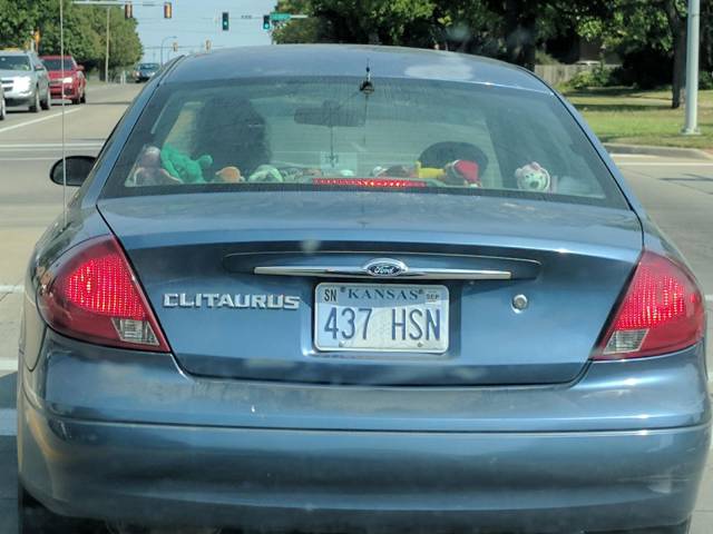 daily picdump 88 pics 12.html - 88 HD Photos | Premium Gallery 2017