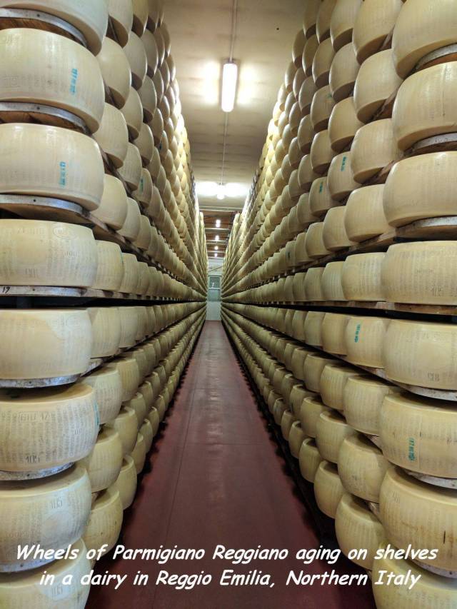 daily picdump 88 pics 12.html - 88 HD Photos | Premium Gallery 2017