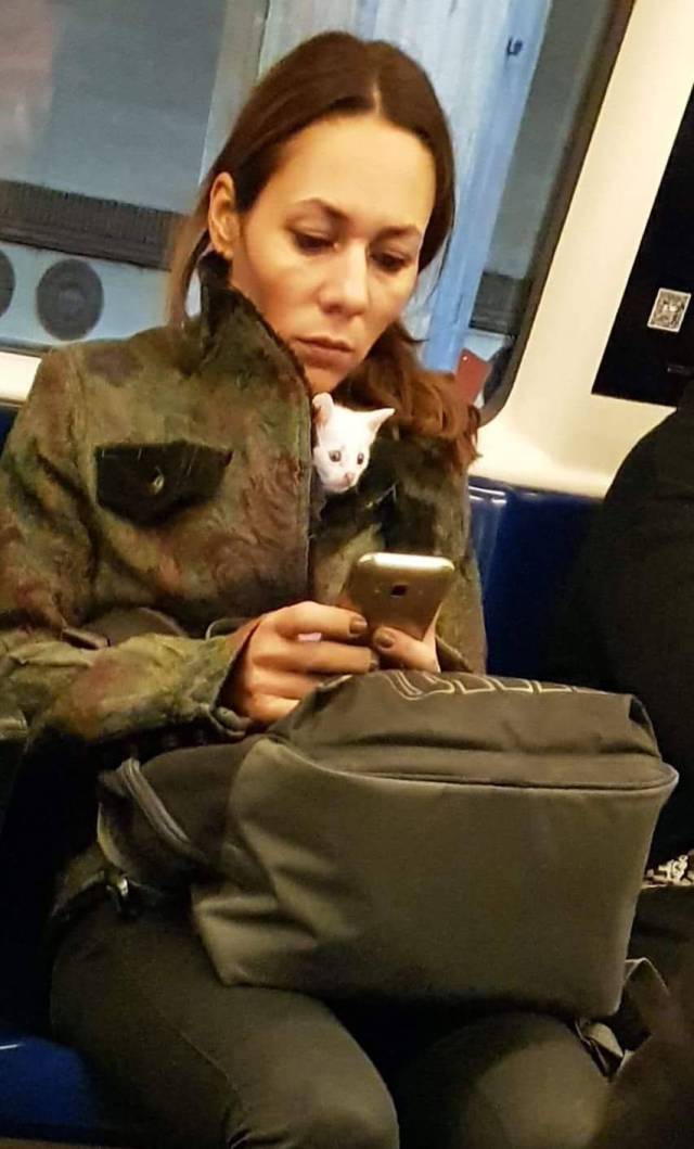 daily picdump 88 pics 12.html - 88 HD Photos | Premium Gallery 2017