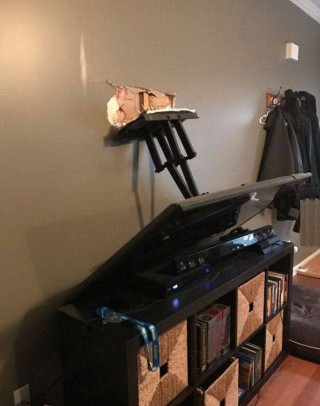 daily picdump 88 pics 12.html - 88 HD Photos | Premium Gallery 2017