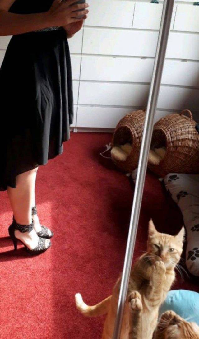 daily picdump 88 pics 12.html - 88 HD Photos | Premium Gallery 2017