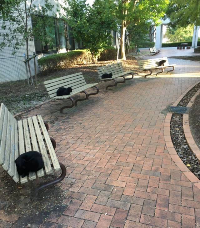 daily picdump 88 pics 12.html - 88 HD Photos | Premium Gallery 2017