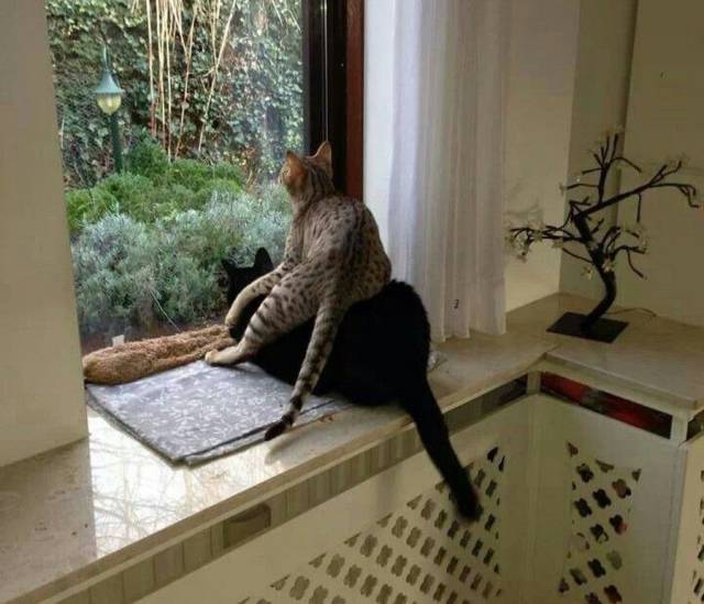 daily picdump 91 pics 23.html - 91 HD Photos | Premium Gallery 2017