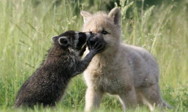 daily picdump 91 pics 23.html - 91 HD Photos | Premium Gallery 2017