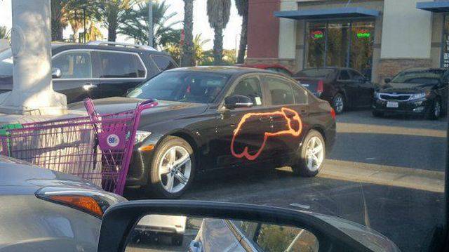 daily picdump 91 pics 23.html - 91 HD Photos | Premium Gallery 2017