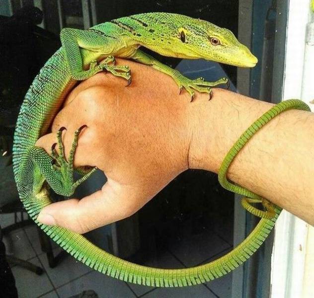 daily picdump 91 pics 23.html - 91 HD Photos | Premium Gallery 2017