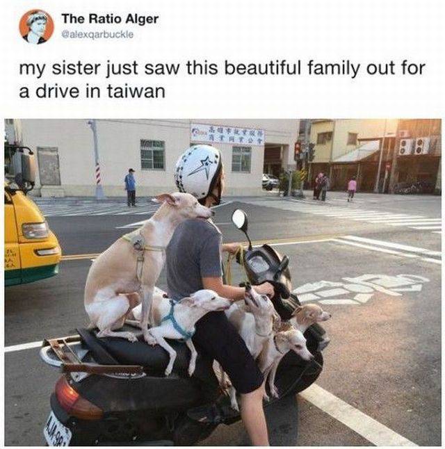 daily picdump 91 pics 23.html - 91 HD Photos | Premium Gallery 2017