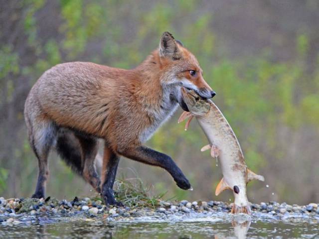 morning picdump 56 pics 19.html - 56 HD Photos | Premium Gallery 2017