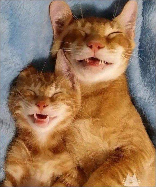 morning picdump 56 pics 19.html - 56 HD Photos | Premium Gallery 2017