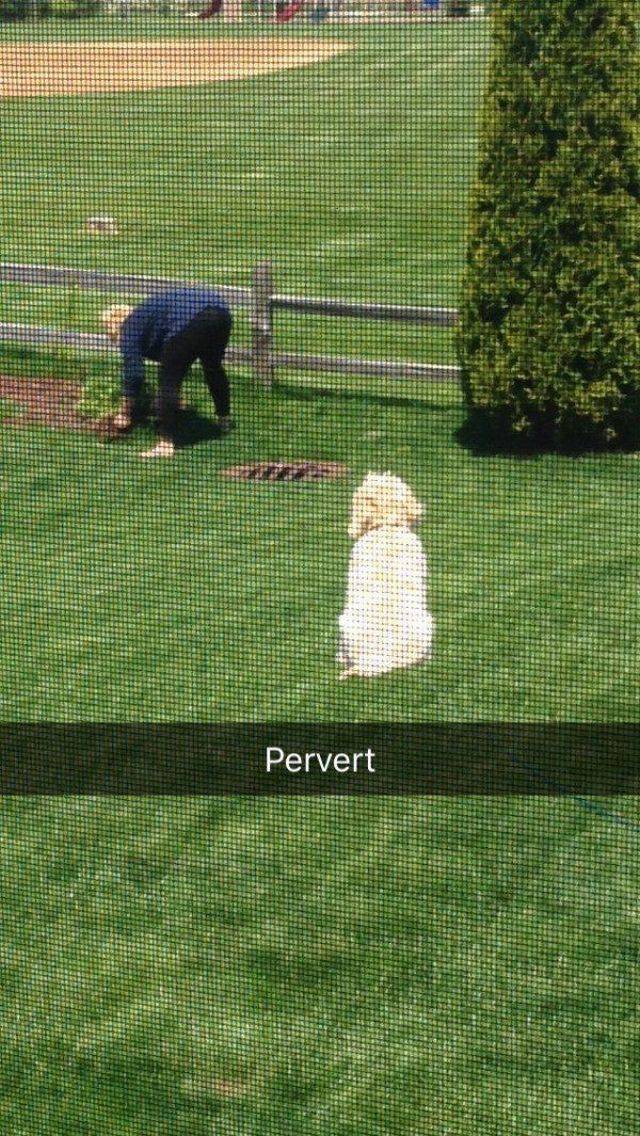 morning picdump 56 pics 19.html - 56 HD Photos | Premium Gallery 2017