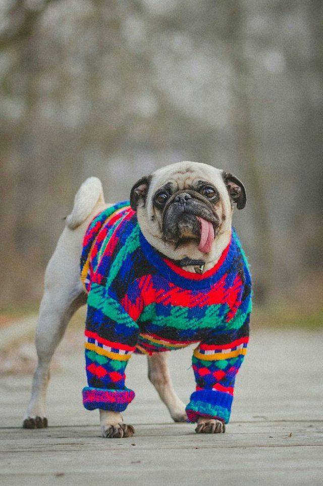 morning picdump 56 pics 19.html - 56 HD Photos | Premium Gallery 2017