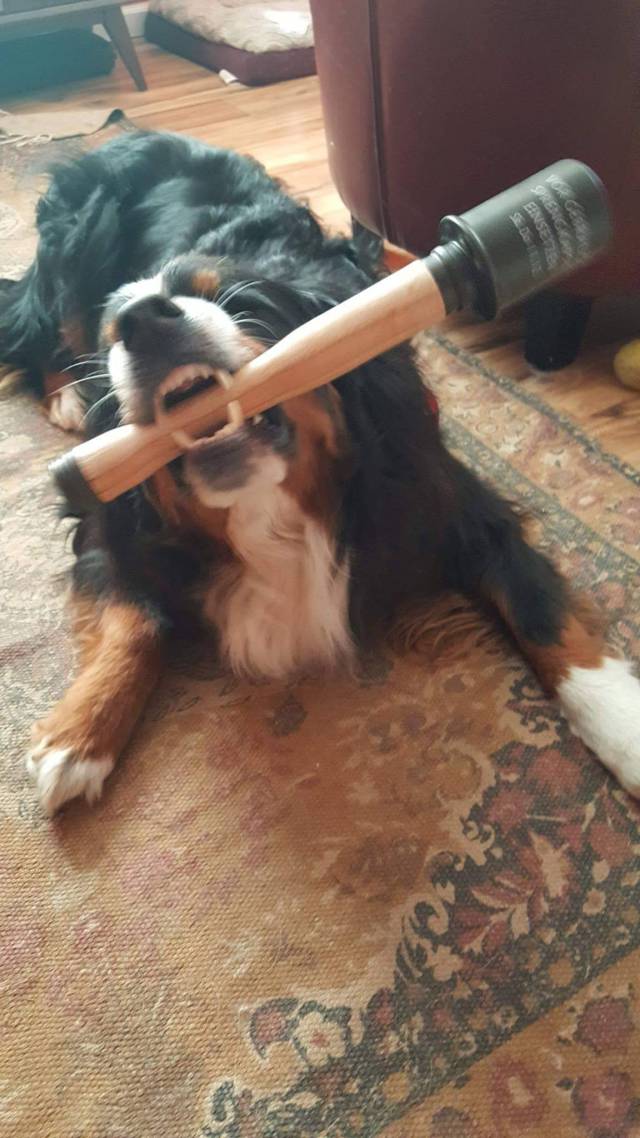 daily picdump 88 pics 31.html - 88 HD Photos | Premium Gallery 2017