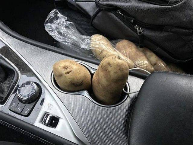 morning picdump 56 pics 5.html - 56 HD Photos | Premium Gallery 2017