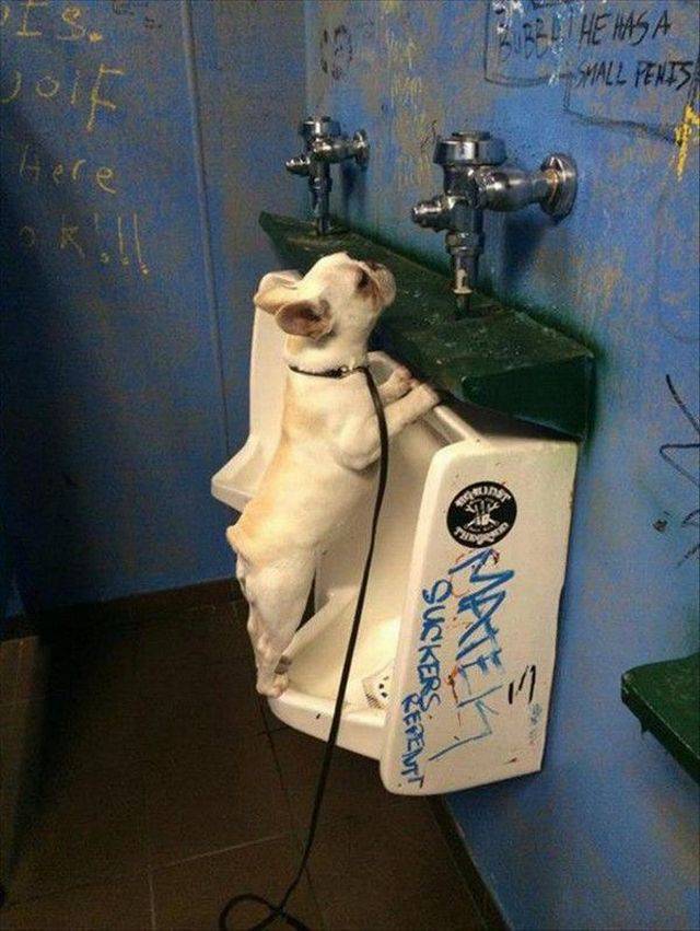 morning picdump 56 pics 5.html - 56 HD Photos | Premium Gallery 2017