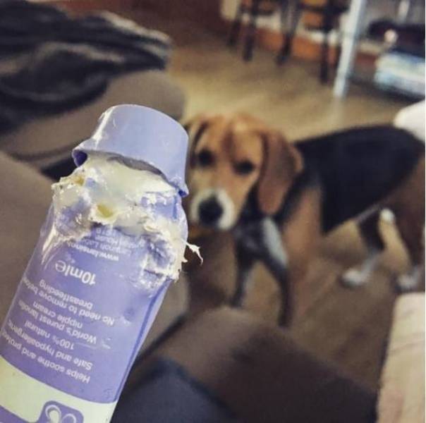 daily picdump 93 pics 35.html - 93 HD Photos | Premium Gallery 2017