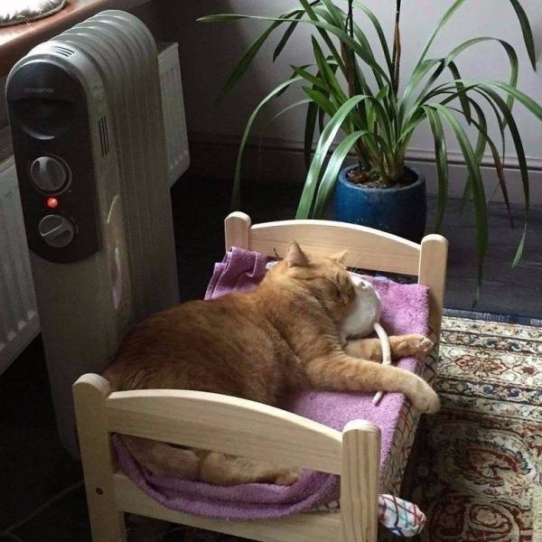 daily picdump 93 pics 35.html - 93 HD Photos | Premium Gallery 2017