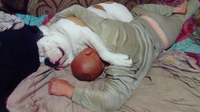 daily picdump 93 pics 35.html - 93 HD Photos | Premium Gallery 2017