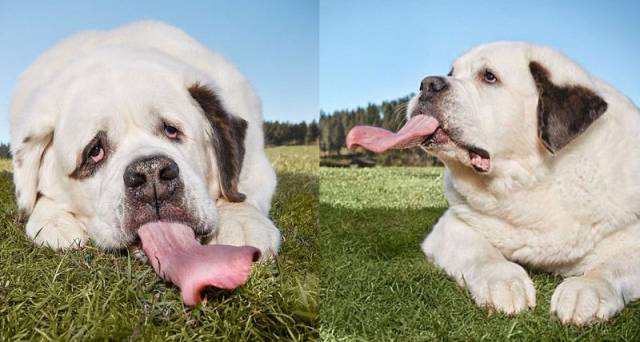 daily picdump 93 pics 35.html - 93 HD Photos | Premium Gallery 2017