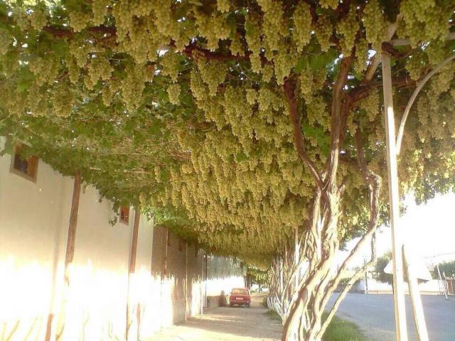 daily picdump 93 pics 35.html - 93 HD Photos | Premium Gallery 2017