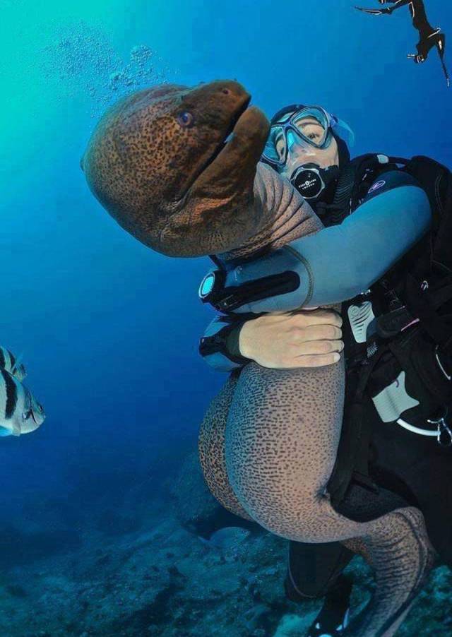 daily picdump 93 pics 35.html - 93 HD Photos | Premium Gallery 2017