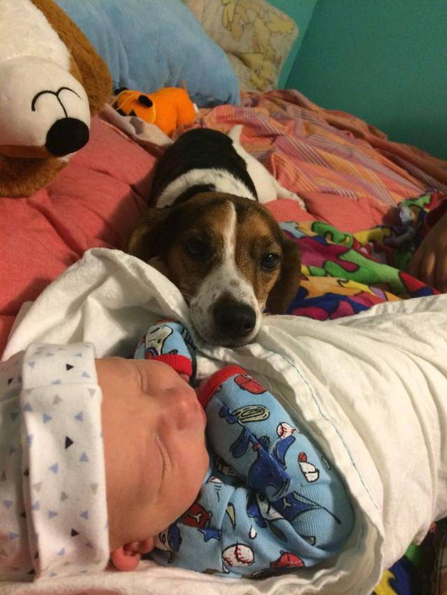 daily picdump 93 pics 35.html - 93 HD Photos | Premium Gallery 2017